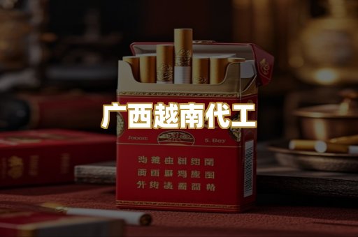 广西越南代工